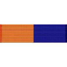 Montana National Guard Physical Fitness Ribbon